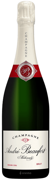 Андре Бофор Амбонэ Блан де Блан 2014 (Andre Beaufort Ambonnay Blanc de Blancs 2014) Андре Бофор Амбонэ Блан де Блан 2014 (Andre Beaufort Ambonnay Blanc de Blancs 2014) — изображение 2