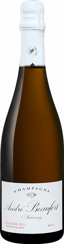 Андре Бофор Амбонэ Блан де Блан 2014 (Andre Beaufort Ambonnay Blanc de Blancs 2014) Андре Бофор Амбонэ Блан де Блан 2014 (Andre Beaufort Ambonnay Blanc de Blancs 2014) — изображение 3