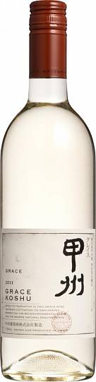Тюо Будосу Ко Грейс Косю 2019 (Chuo Budosu Co Grace Koshu 2019)