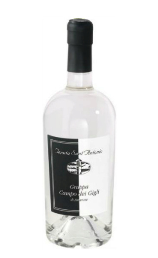 Тенута Сант'Антонио Граппа ди Амароне Кампо дей Джигли (Tenuta Sant'Antonio Grappa di Amarone Campo dei Gigli)