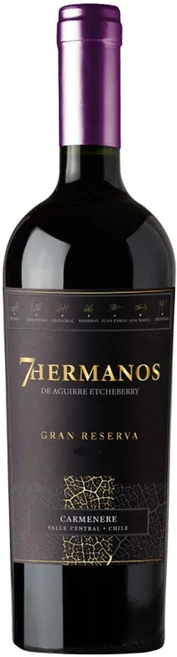 7 Эрманос Карменере Гран Ресерва 2020 (7 Hermanos Carmenere Gran Reserva 2020)
