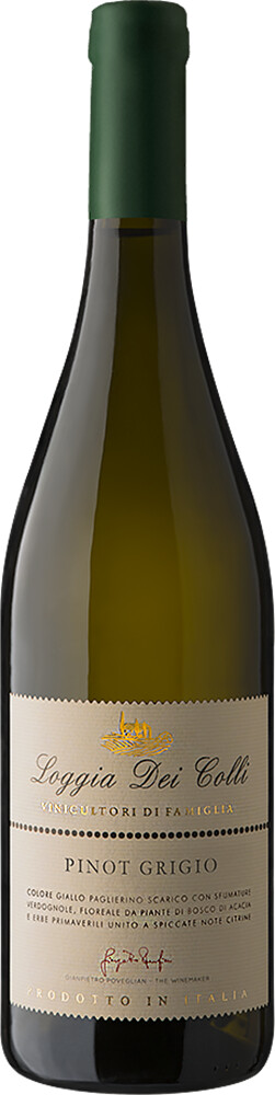 Пьера Мартеллоццо Пино Гриджио Лоджа дей Колли 2023 (Piera Martellozzo Pinot Grigio Loggia dei Colli 2023) Пьера Мартеллоццо Пино Гриджио Лоджа дей Колли 2023 (Piera Martellozzo Pinot Grigio Loggia dei Colli 2023)