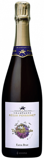 Режи Пауссине Терр д'Иризе Экстра Брют 2015 (Regis Poissinet Terre d'Irizee Extra Brut 2015) Режи Пауссине Терр д'Иризе Экстра Брют 2017 (Regis Poissinet Terre d'Irizee Extra Brut 2017)