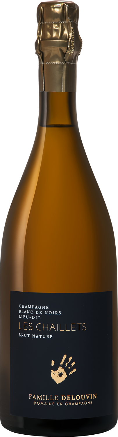 Фамий Делувен Лье-ди Ле Шайе Блан Де Нуар Брют Натюр 2019 (Famille Delouvin Lieu-Dit Les Chaillets Blanc De Noirs Brut Nature 2019) Фамий Делувен Лье-ди Ле Шайе Блан Де Нуар Брют Натюр 2019 (Famille Delouvin Lieu-Dit Les Chaillets Blanc De Noirs Brut Nature 2019)