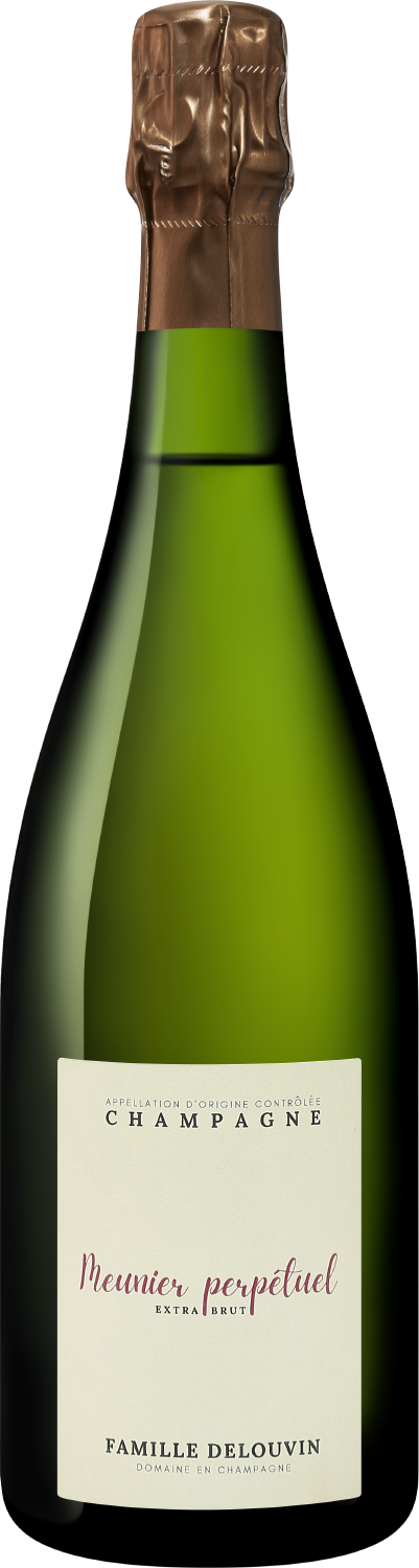 Фамий Делувен Менье Перпетюэль Экстра Брют 2017 (Famille Delouvin Meunier Perpetuel Extra Brut 2017) Фамий Делувен Менье Перпетюэль Экстра Брют 2017 (Famille Delouvin Meunier Perpetuel Extra Brut 2017)