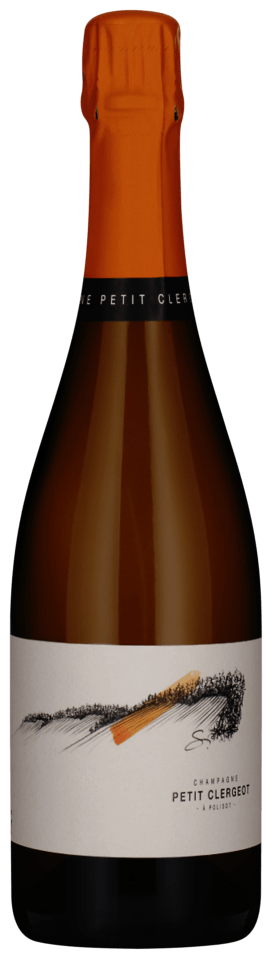Пти Клержо Шеври Пино Нуар Стальной Чан 2021 (Petit Clergeot Chevry Pinot Noir Cuvée Cuve 2021) Пти Клержо Шеври Пино Нуар Стальной Чан 2021 (Petit Clergeot Chevry Pinot Noir Cuvée Cuve 2021)