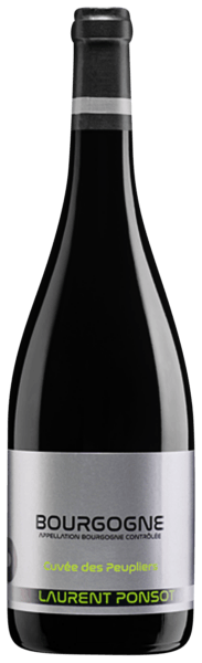 Лоран Понсо Бургонь Кюве де Пеплие 2018 (Laurent Ponsot Bourgogne Cuvee des Peupliers 2018) Лоран Понсо Бургонь Кюве де Пеплие 2018 1.5л (Laurent Ponsot Bourgogne Cuvee des Peupliers 2018 1.5l)