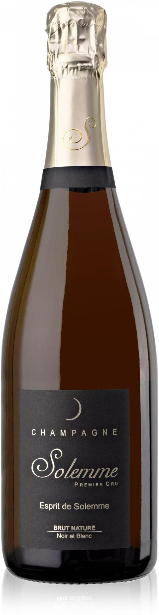 Солемм Эспри де Солемм Брют Натюр 2019 (Solemme Esprit de Solemme Brut Nature 2019) Солемм Эспри де Солемм Брют Натюр 2019 (Solemme Esprit de Solemme Brut Nature 2019)