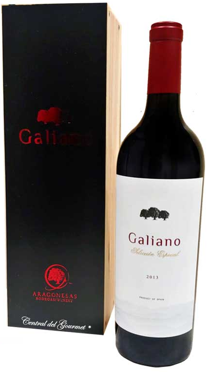 Гальяно Селексьон Эспешел Д.О. Кампо де Борха 2013 дерев.короб (Galiano Seleccion Especial D.O. Campa de Borja 2013)