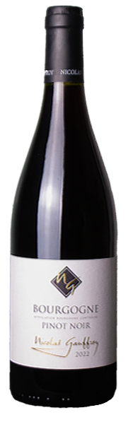 Николя Гоффруа Бургонь Пино Нуар 2023 (Nicolas Gauffroy Bourgogne Pinot Noir 2023)