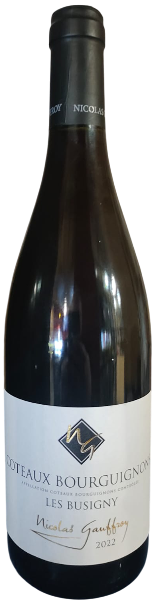 Николя Гоффруа Кото Бургиньон Руж Ле Бюзиньи 2022 (Nicolas Gauffroy Coteaux Bourguignons Rouge Les Busigny 2022) Николя Гоффруа Кото Бургиньон Руж Ле Бюзиньи 2022 (Nicolas Gauffroy Coteaux Bourguignons Rouge Les Busigny 2022)