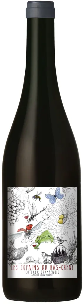 Лаваль Орор Эт Флорьян Ле Копэн Дю Ба Шен 2020 (Laval Coteaux Champenois Rouge Les Copains du Bas Chêne 2020)